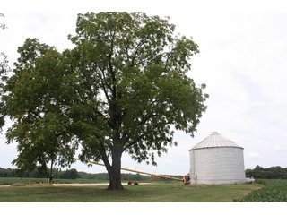 Property photo 87 - LAND AUCTION - 1,193+/- ACRES IN 14 TRACTS IN PIKE & GIBSON COUNTY, INDIANA